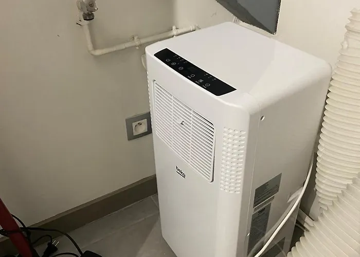 Au Pays Des Cigognes *