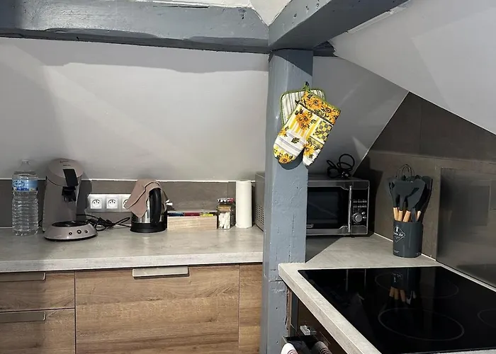 Appartamento Au Pays Des Cigognes Colmar