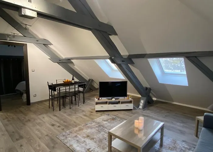 Au Pays Des Cigognes Appartamento Colmar