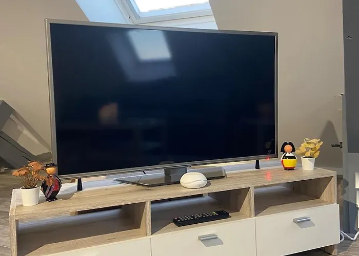 Au Pays Des Cigognes *